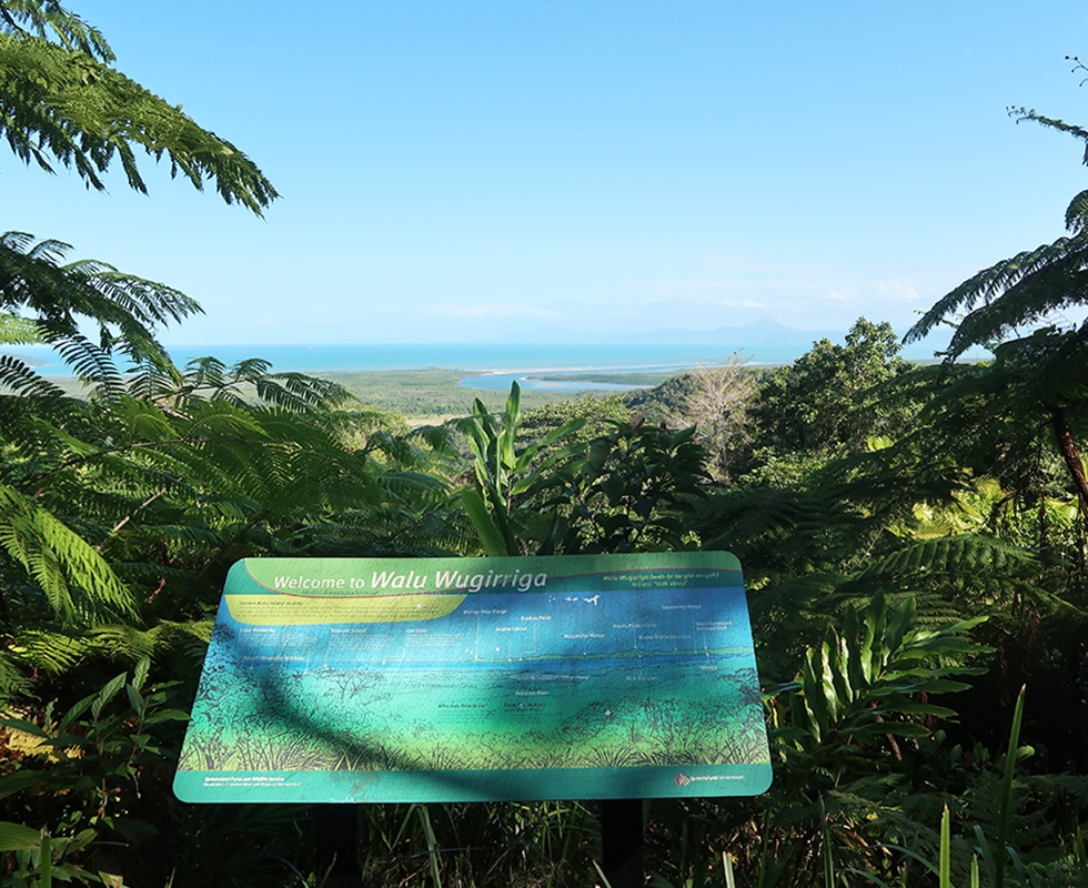 Looking out through Daintree Rainforest to Great Barrier Reef